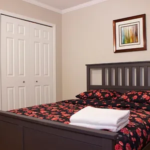 Apartment Shiny Spacious With Perfect View In Crescent, Montreal